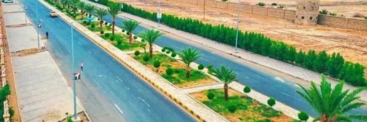 غرس-21-الف-شجرة-في-18-شوارع-محافظة-مارب-خلال-العام-الماضي