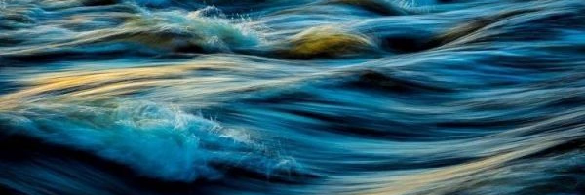 غواص-يصور-_وحشا_-بحريا-ضخما-للمرة-الاولى-فيديو