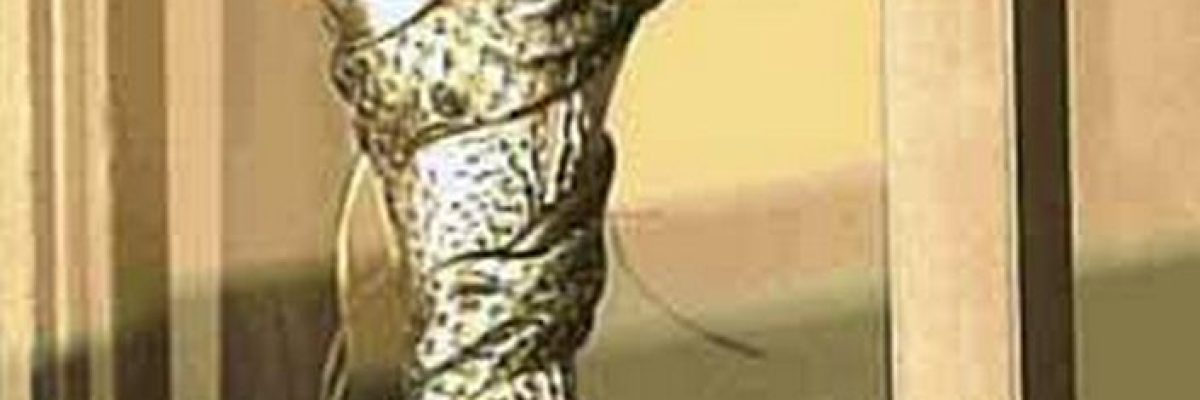 كاس-الخليج-.-تاريخ-عريق-وذكريات-لا-تنسى