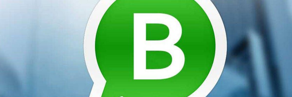 كل-ما-تحتاج-معرفته-عن-تطبيق-واتساب-الجديد-whatsapp-business