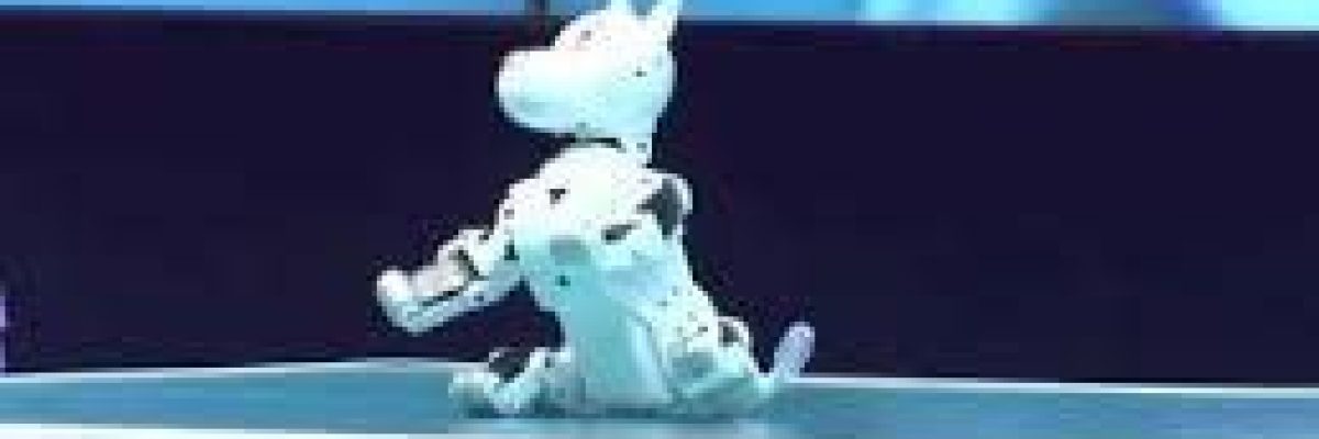 كلب-الي-يقدم-املاً-لمساعدة-من-يعانون-العته-والتوحد