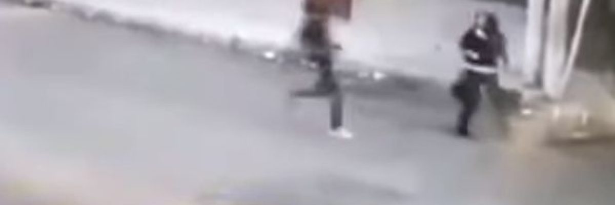 كلبان-يحميان-امراة-من-سطو-مسلح-فيديو