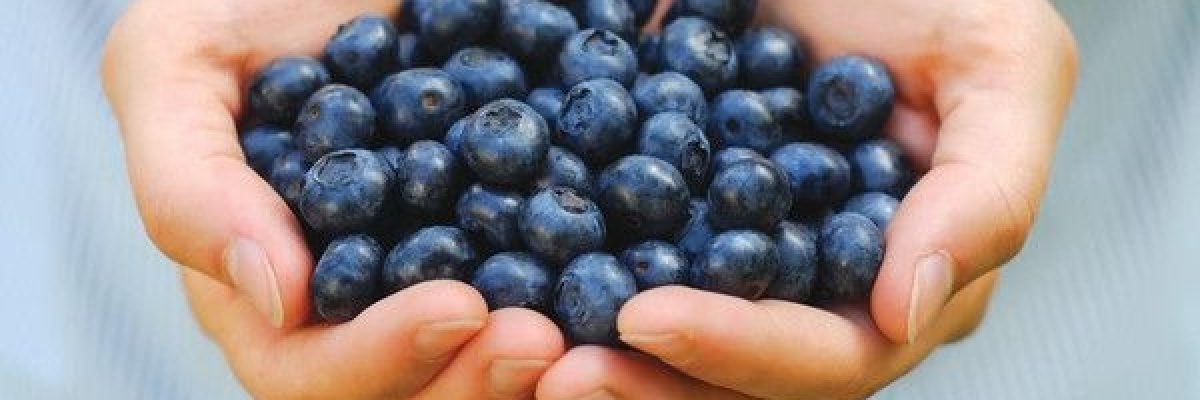 كوب-من-_التوت_-يومياً-يحميك-من-الاصابة-بامراض-قاتلة