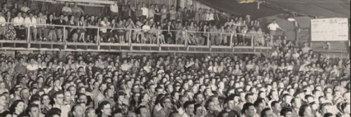 لماذا-يكذب-السياسيون-دائمًا؟-ولماذا-تصدقهم-الجماهير-دائمًا؟