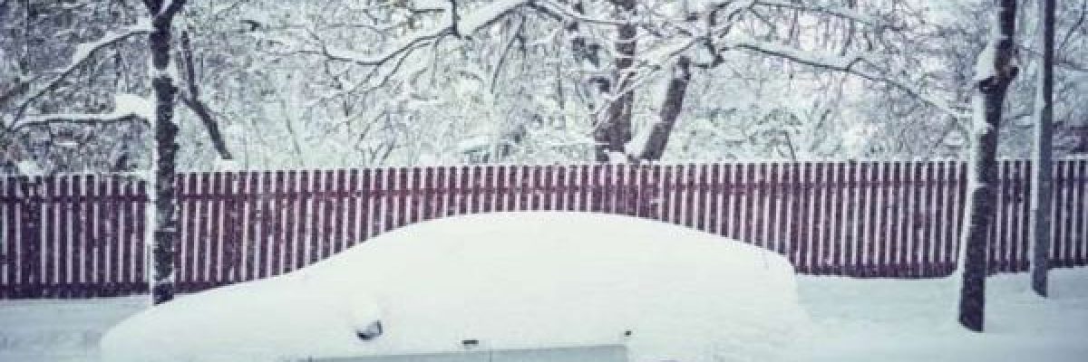 ما-الذي-يقتل-الكثير-من-الاشخاص-الاصحاء-في-الشتاء؟