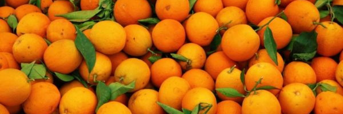 ما-فوائد-اكل-البرتقال-قبل-النوم؟