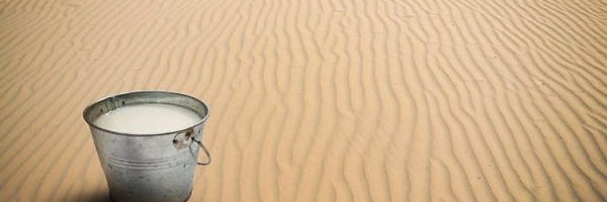 ماهي-فوائد-حليب-الابل-لمرض-السكري؟