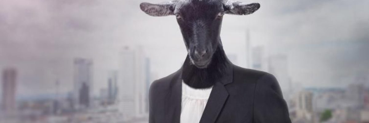 محاولاتك-الدائمة-لاظهار-ذكائك-قد-تكون-دليلا-على-الغباء