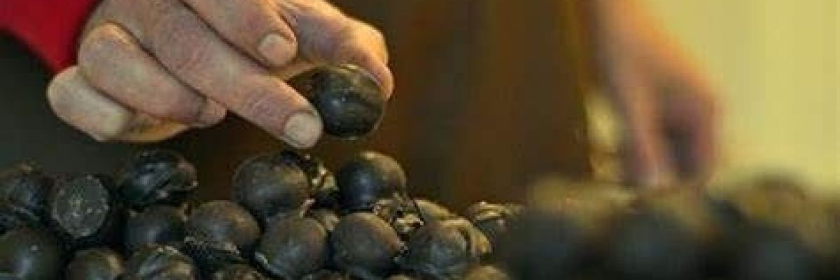 مصر-تتحرك-ضد-شوكولاته-سببت-تسمما-في-بريطانيا