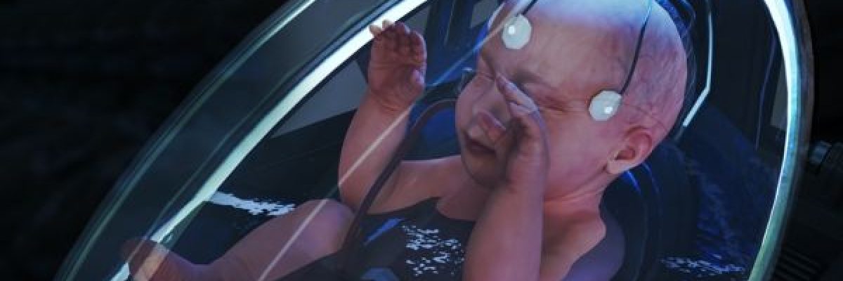 مصنع-الاجنة_.-فيديو-لصانع-المحتوى-اليمني-هاشم-الغيلي-يناقش-الفكرة-الصادمة