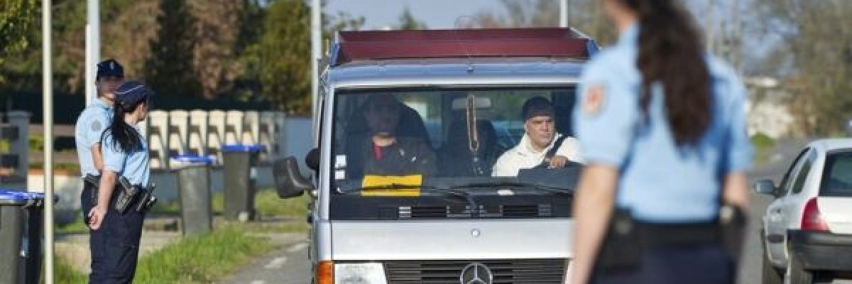 ملابسات-محاولة-سرقة-3-ملايين-دينار-جزائري-بالاستعانة-بالقطط