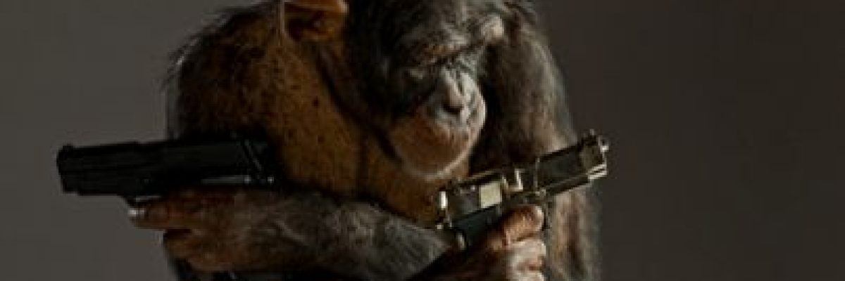 من-اجل-المتعة-او-احتلال-الارض.-حيوانات-تقتل-لاسباب-لا-تتعلق-بالبقاء