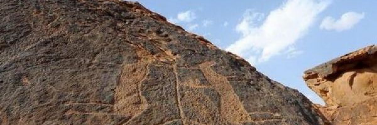 منها-العصيد.-ماذا-كان-ياكل-انسان-ما-قبل-التاريخ؟