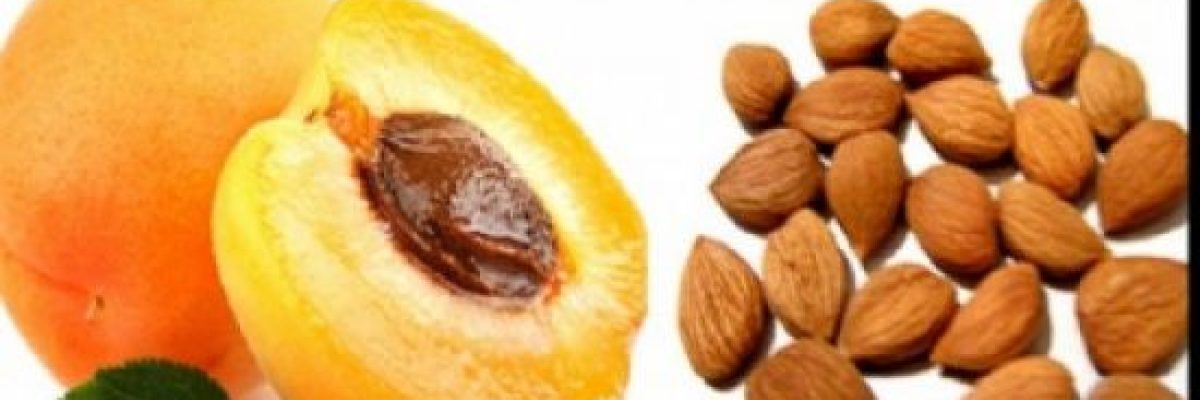 نواة-عجوة-المشمش-سم-يقتل-اكليها