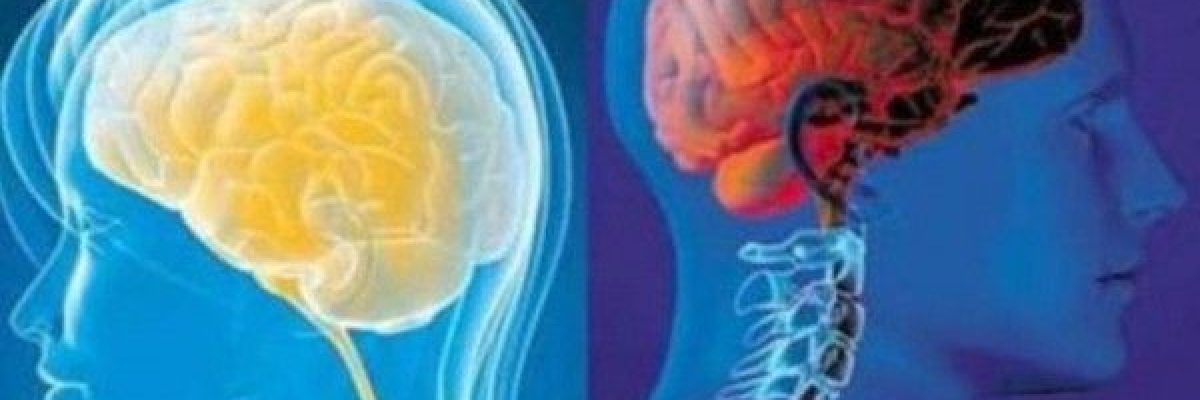 هذا-هو-الفارق-بين-ادمغة-النساء-والرجال