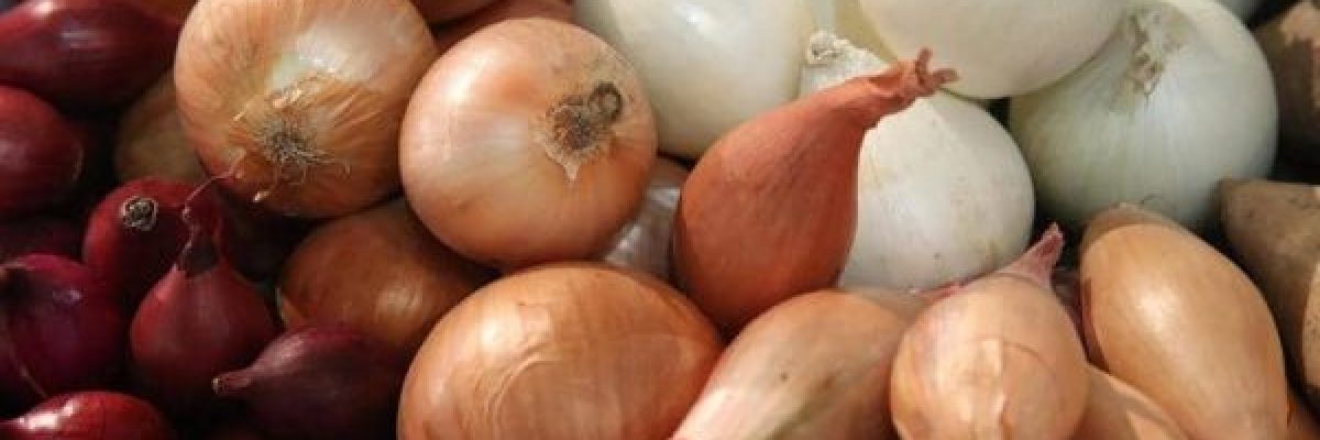 يحارب-السرطان-والسكري.-تعرف-على-فوائد-_البصل_-المذهلة-