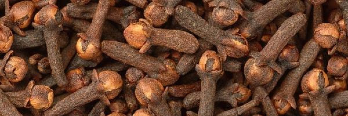 يحفز-المناعة.-فوائد-مذهلة-لتناول-القرنفل-على-الريق